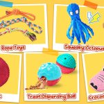 Is Your Dog Ready for Adventure?